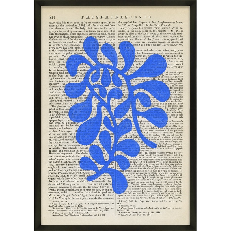 Pitt Phosphorescence By Michela Sorrentino – Picture Frame Print on Paper George Oliver Frame Color: Black Wood Size: 38″ H x 27″ W x 1.25″ D