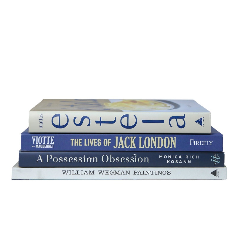 4 Piece Modern Coastal Shores ColorStak Decorative Book Set Booth & Williams